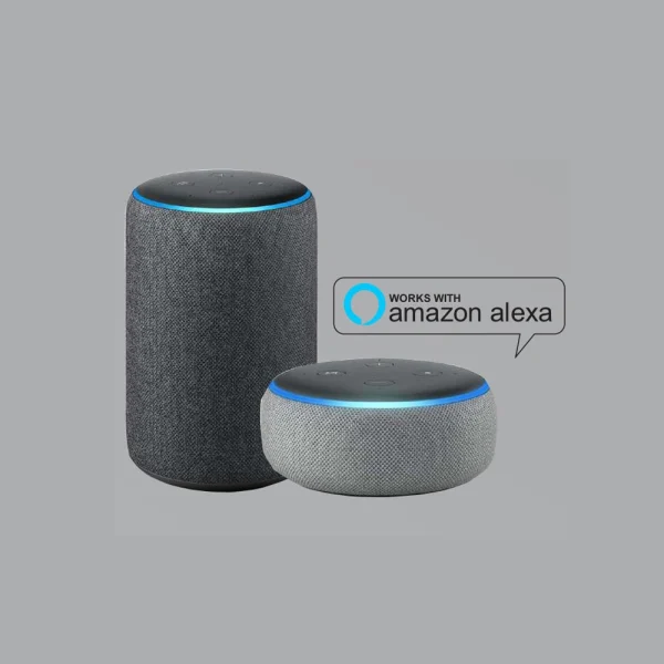 Voice Control Alexa