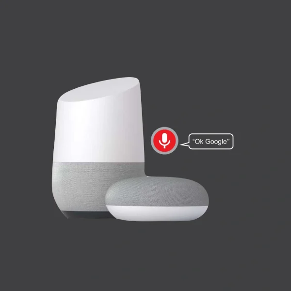 Voice Control Google